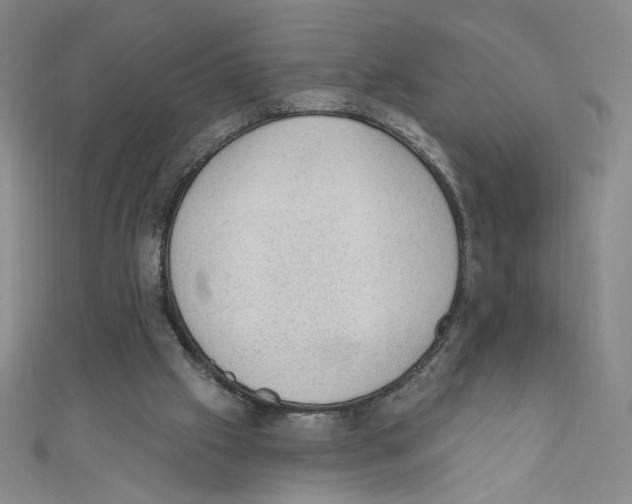 X0000110940057200907171616