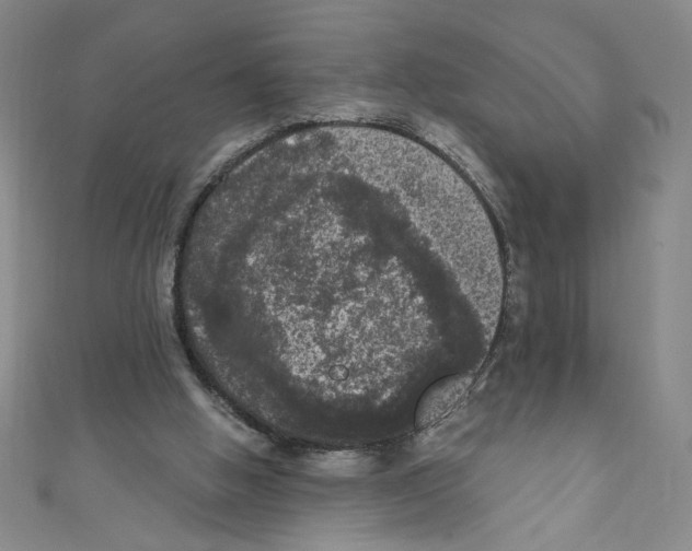 X0000110940058200907171616