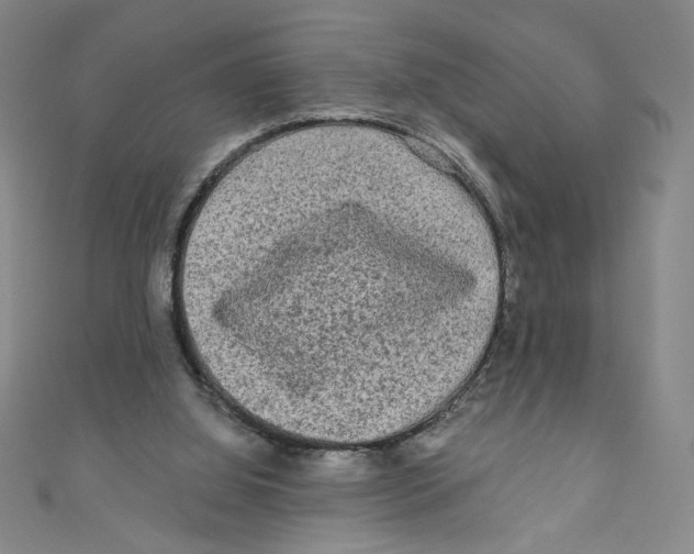 X0000110940060200907171616