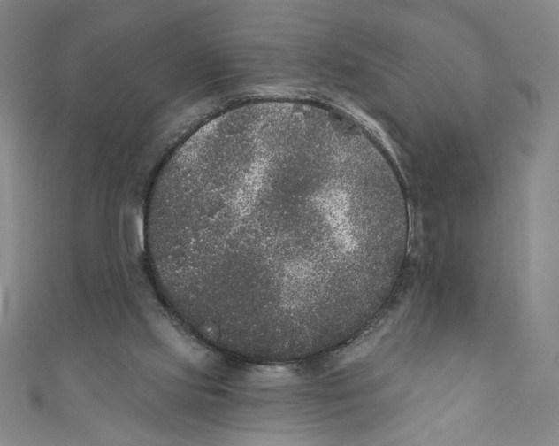 X0000110940061200907171616
