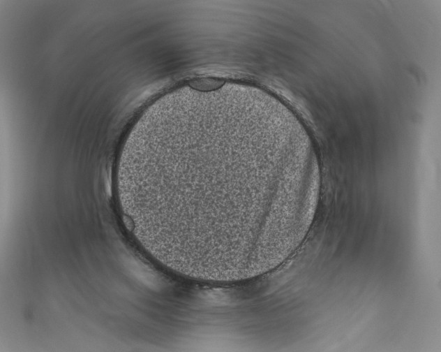 X0000110940062200907171616