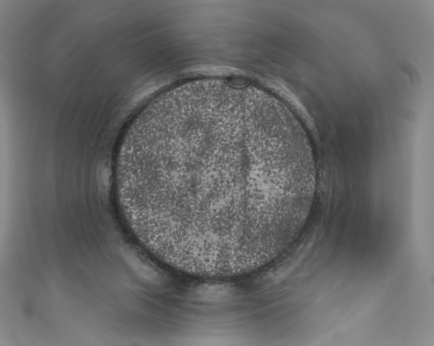 X0000110940063200907171616