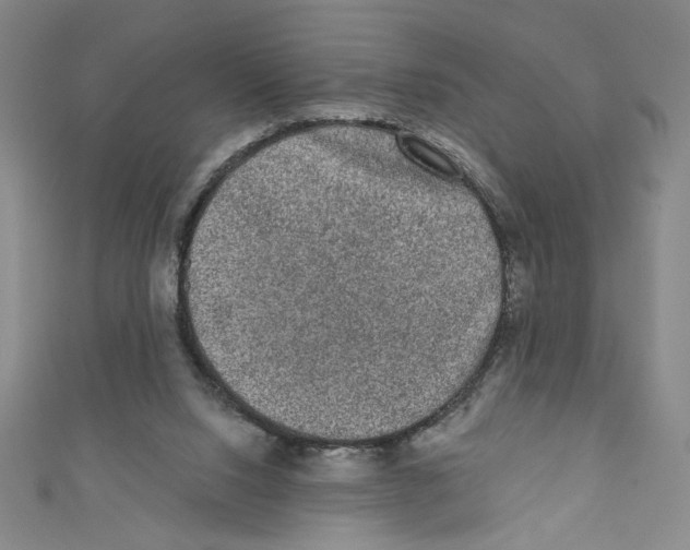 X0000110940064200907171616