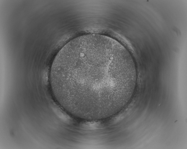 X0000110940065200907171616