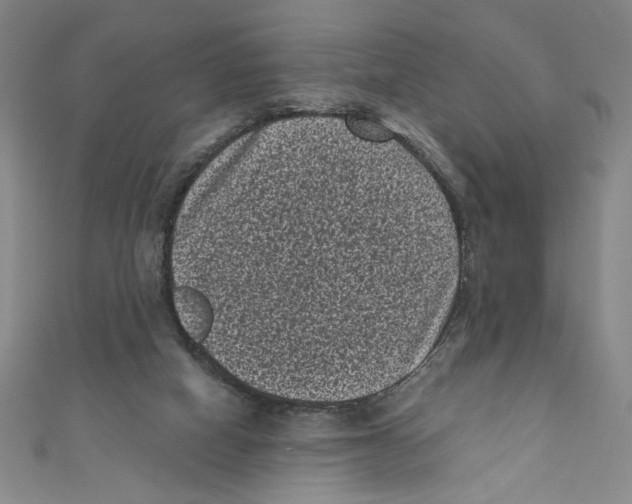 X0000110940066200907171616