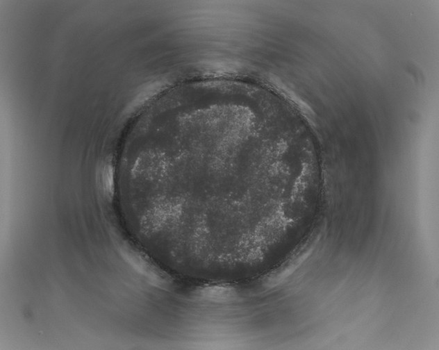 X0000110940067200907171616