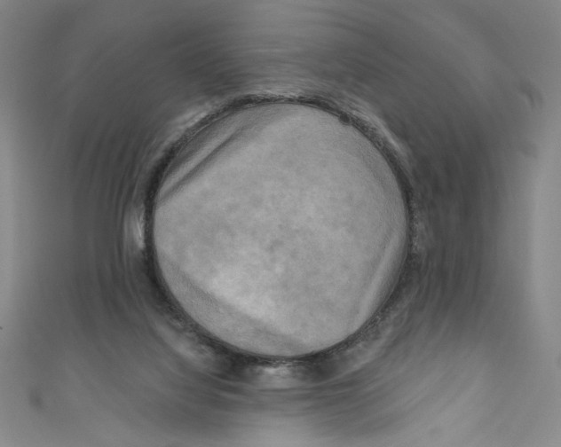X0000110940068200907171616