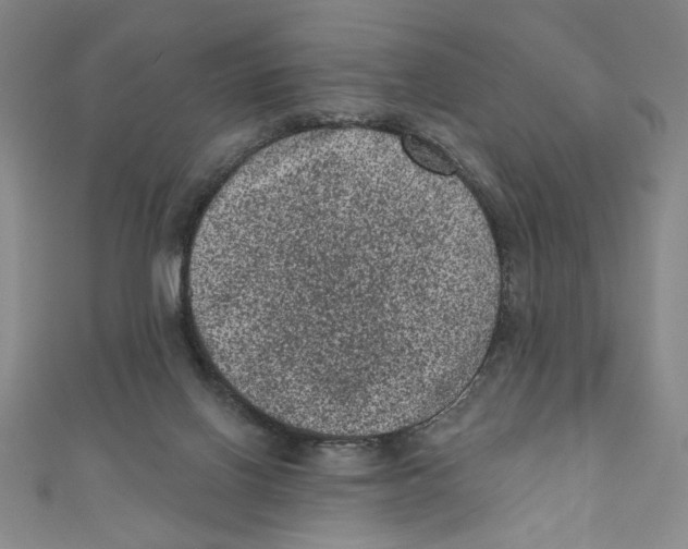 X0000110940070200907171616