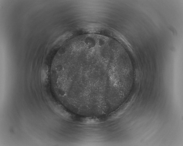 X0000110940073200907171616