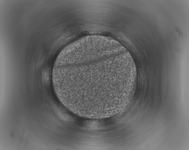 X0000110940074200907171616