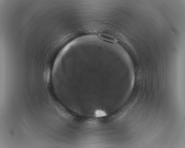 X0000110940076200907171616
