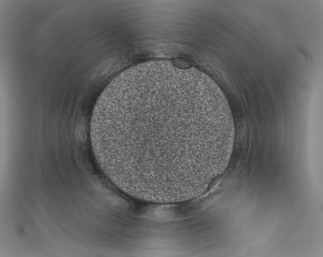 X0000110940078200907171616