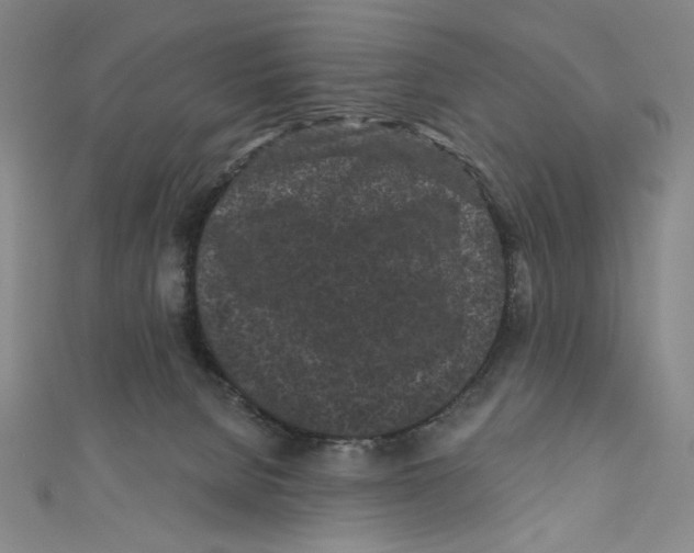 X0000110940080200907171616