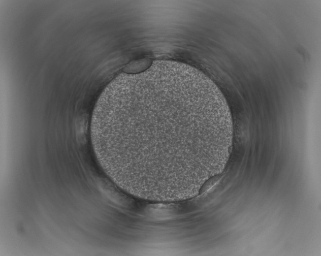 X0000110940082200907171616