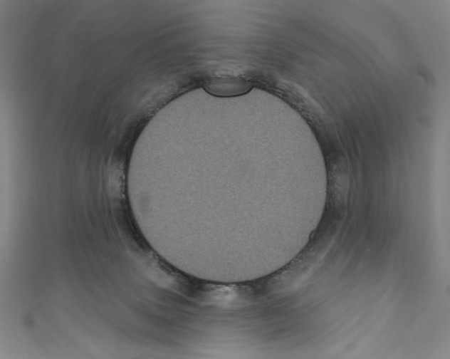 X0000110940083200907171616