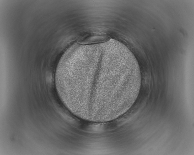 X0000110940084200907171616