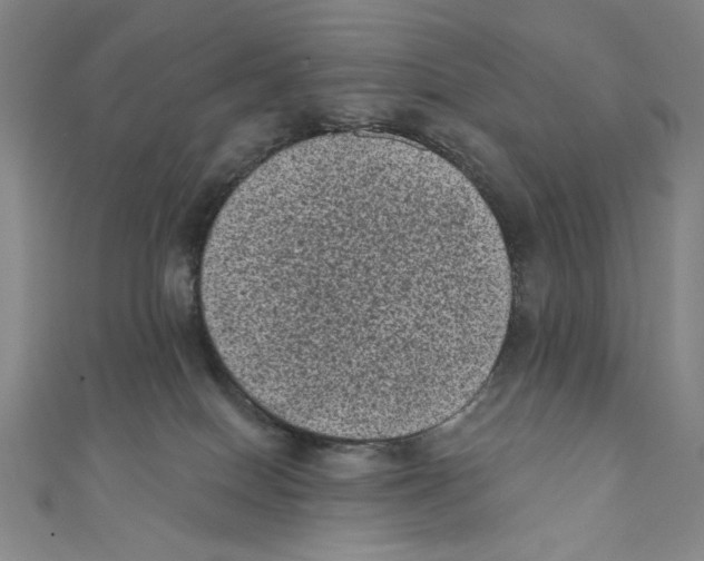X0000110940086200907171616