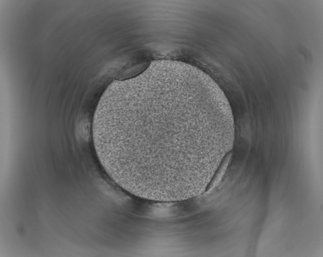 X0000110940090200907171617