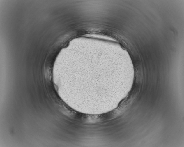 X0000110940093200907171617