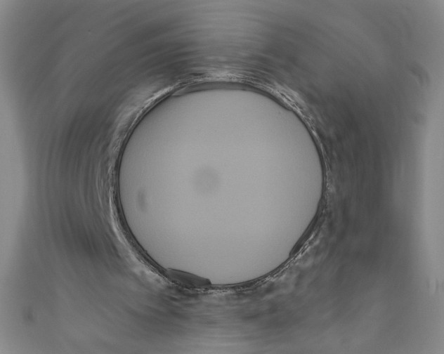 X0000110940097200907171616