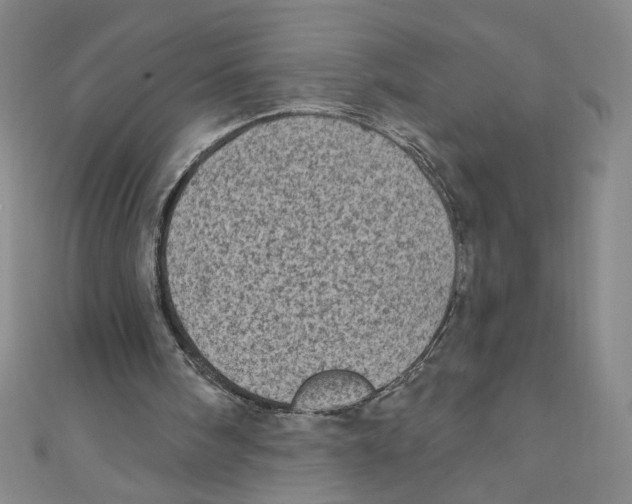 X0000110940098200907171616