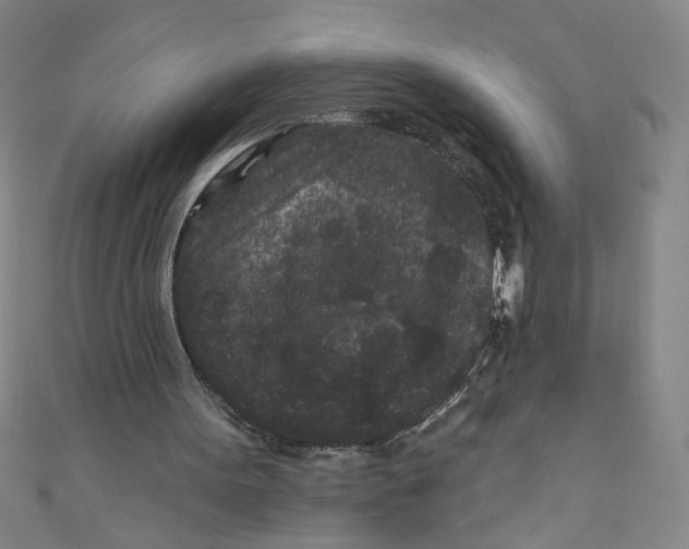 X0000110940099200907171616