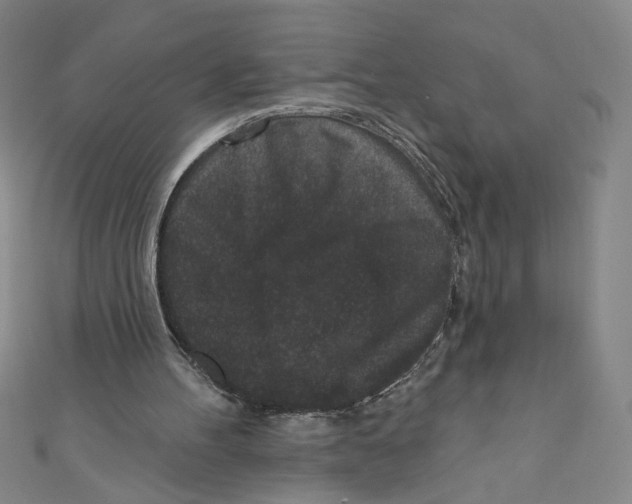 X0000110940100200907171616