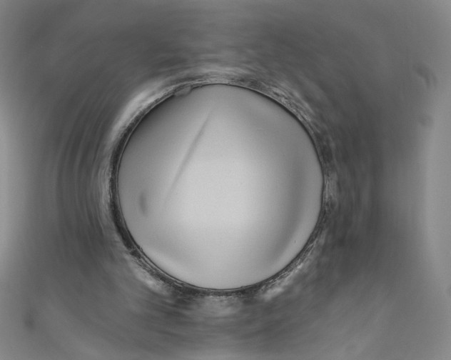 X0000110940101200907171616