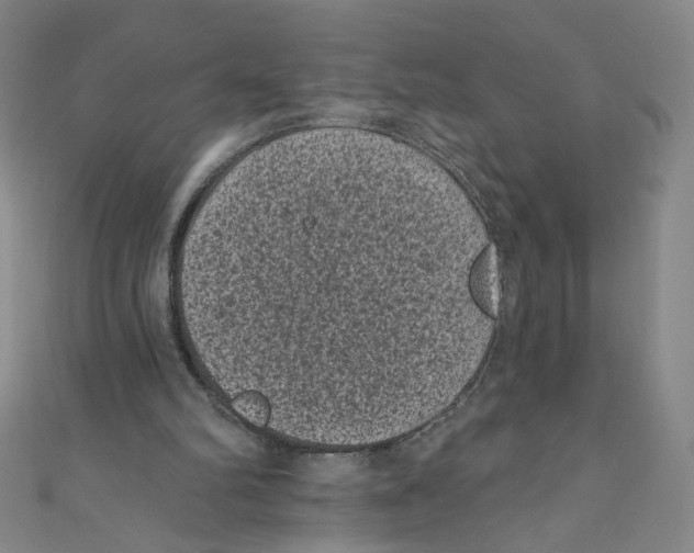 X0000110940102200907171616