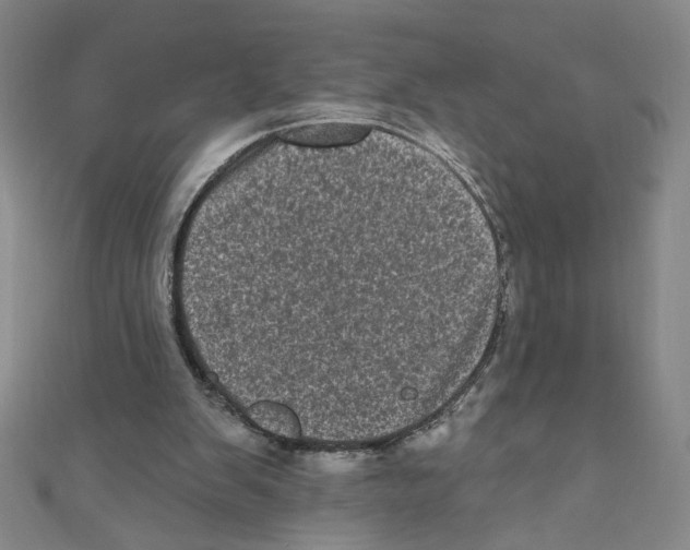 X0000110940103200907171616