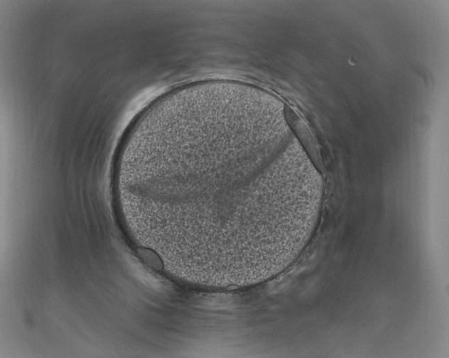 X0000110940104200907171616