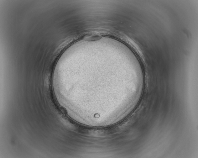 X0000110940105200907171616