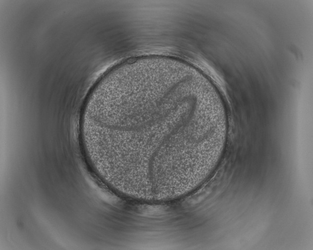 X0000110940107200907171616