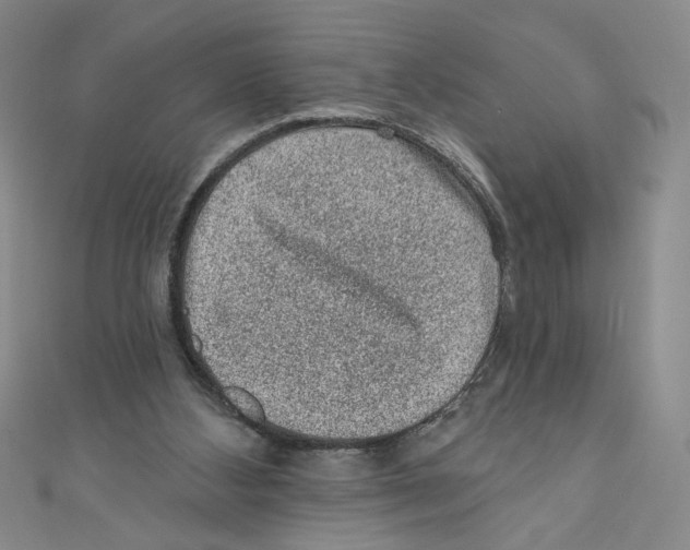 X0000110940108200907171616