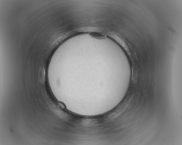 X0000110940109200907171616