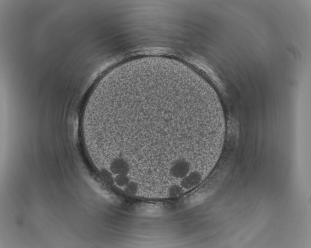 X0000110940110200907171616
