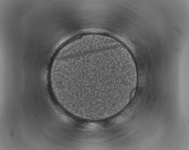 X0000110940111200907171616