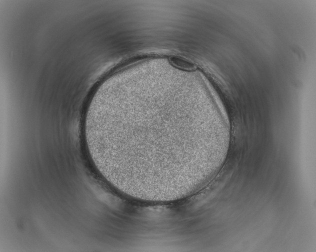 X0000110940112200907171616