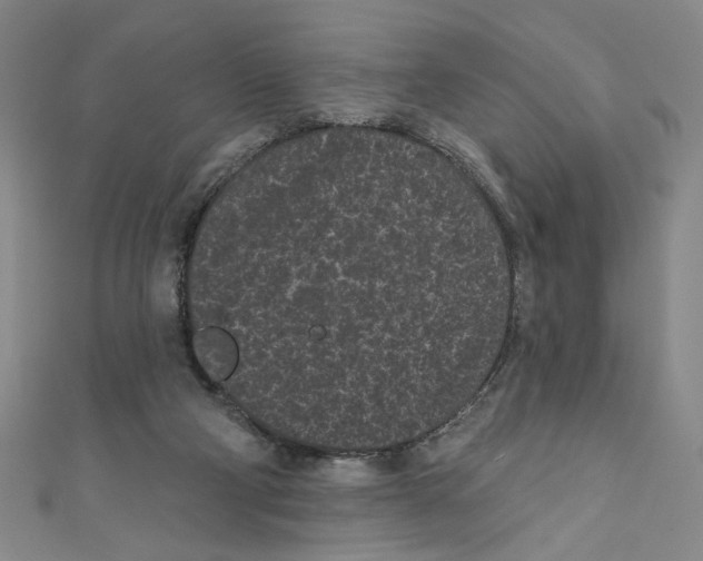 X0000110940114200907171616