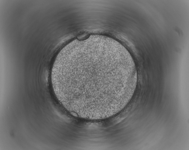 X0000110940115200907171616