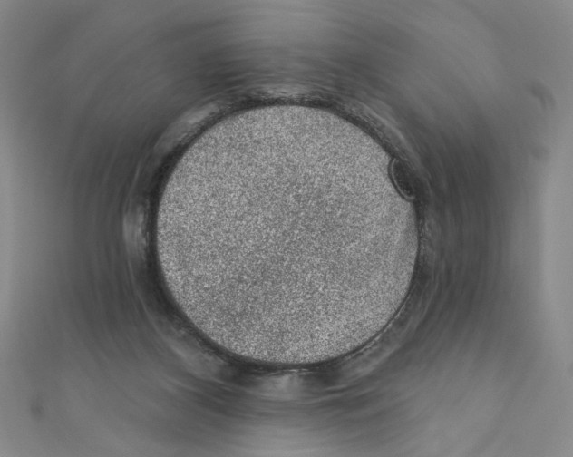 X0000110940116200907171616