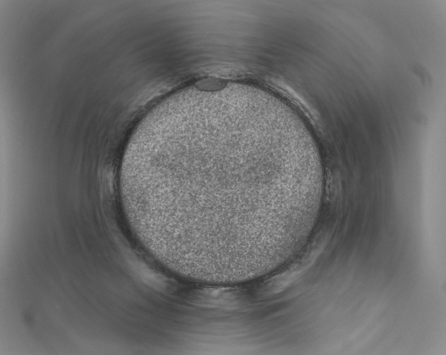 X0000110940117200907171616