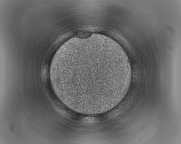 X0000110940119200907171616