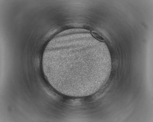 X0000110940120200907171616