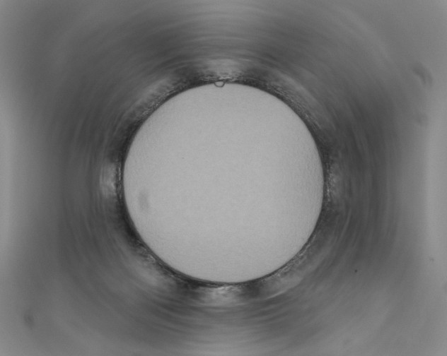X0000110940122200907171616