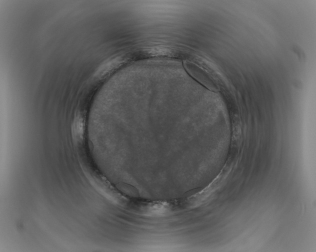 X0000110940124200907171616