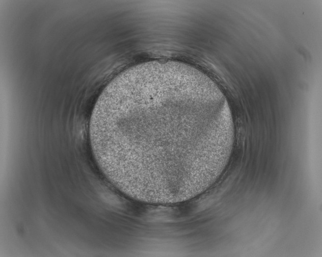 X0000110940125200907171616