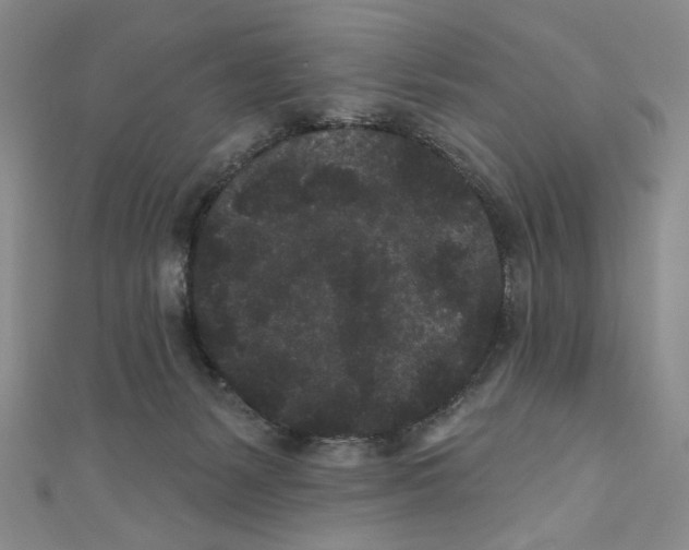 X0000110940127200907171616