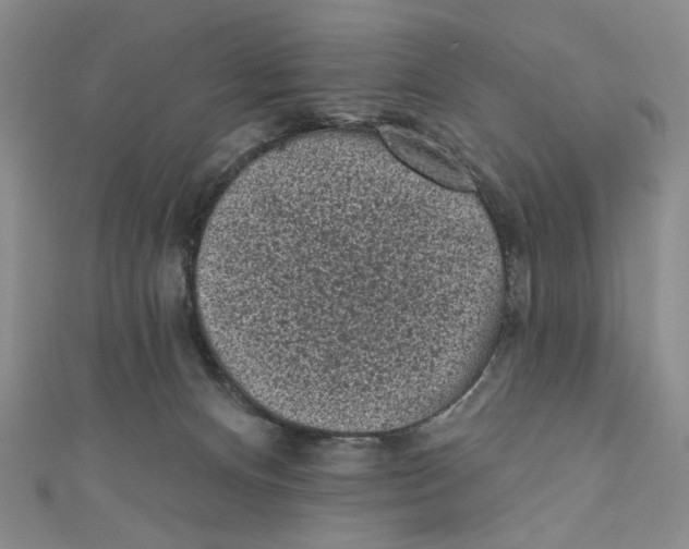 X0000110940128200907171616