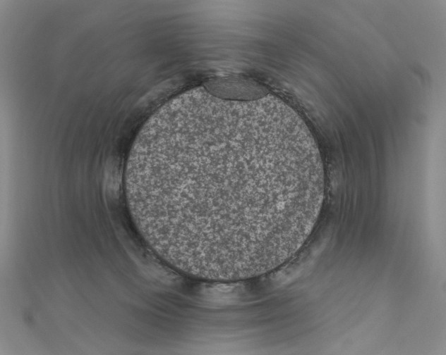 X0000110940129200907171616